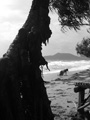 gal/04 - Kep/_thb_RIMG1999.jpg